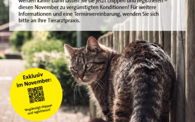 Immernoch aktuell: Katzenchip-Aktion November 2021