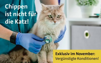 Katzenchip-Aktion November 2025
